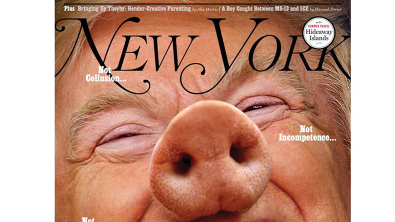 New York Magazine        