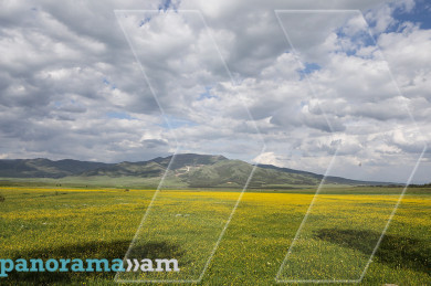 Fields in Armenia