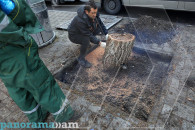 Вырубка деревьев на улице Туманяна в Ереване