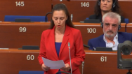 Swedish lawmaker: These videos demonstrate Azerbaijani war crimes